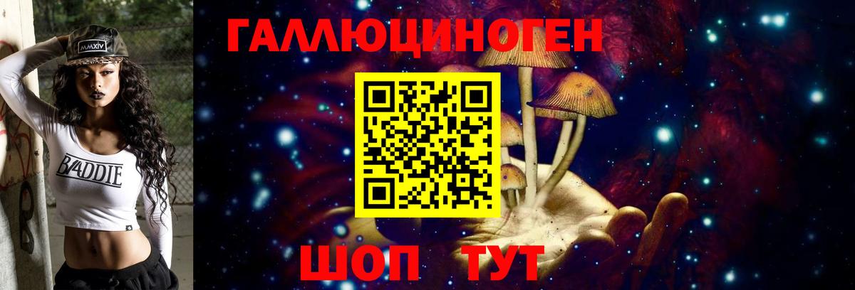 Галлюциногенные грибы Psilocybe  Вход с VPN  Улан-Удэ 